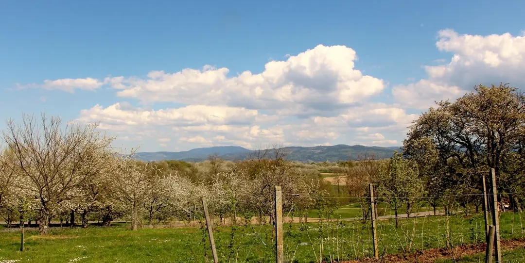 Acker Aussicht in Berge